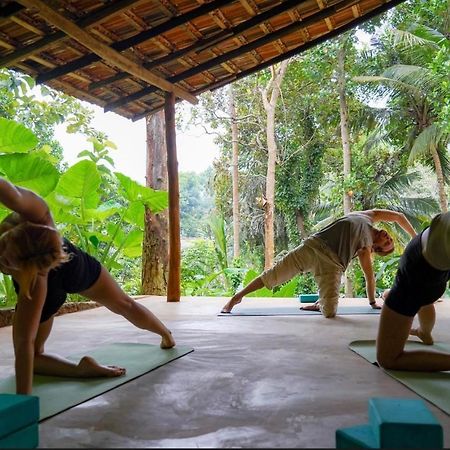 Into The Blue - Yoga Included & Walk To 3 Beaches แทนกาลเล ภายนอก รูปภาพ