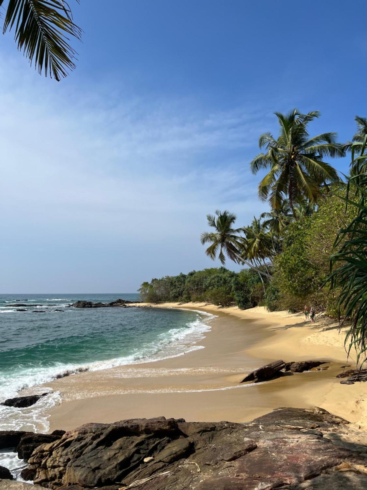 Into The Blue - Yoga Included & Walk To 3 Beaches แทนกาลเล ภายนอก รูปภาพ