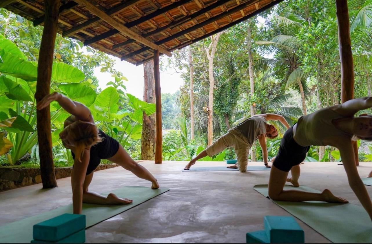 Into The Blue - Yoga Included & Walk To 3 Beaches แทนกาลเล ภายนอก รูปภาพ